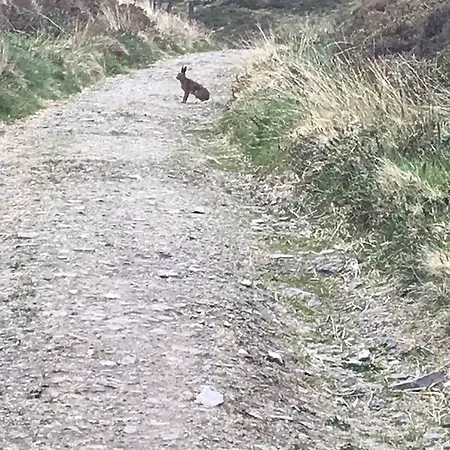 艾玛拉之楼旅馆 招待所