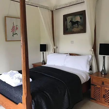 Guest house Emlagh House Dingle